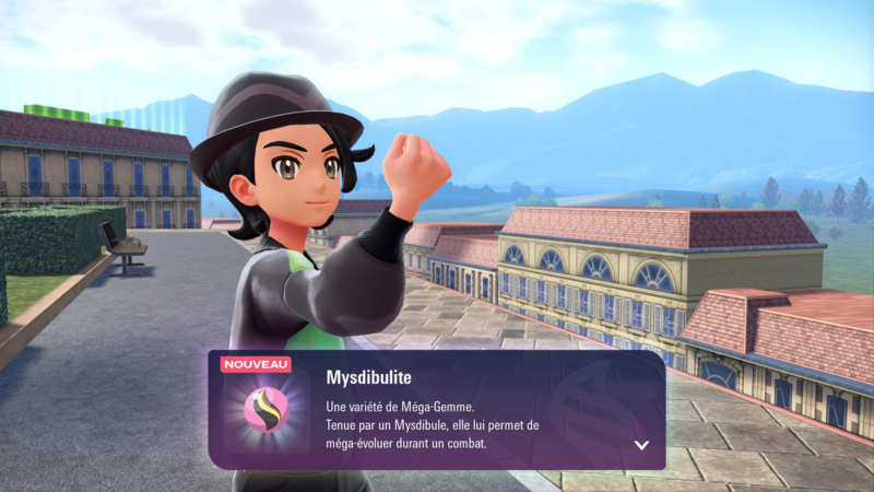 Fichier:Rosavilliers 6e arrondissement Mysdibulite LPZA.png