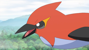 XY041 - Braisillon de Sacha.png