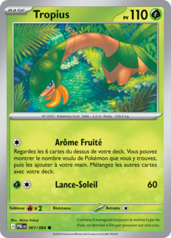 Tropius (Méga-Évolution Nuit Noire 001)