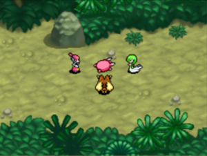 Jungle Méridionale (3) PDMC.png
