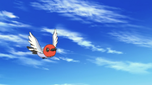 Passerouge sauvage - Film 19.png