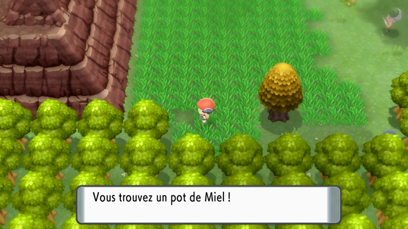 Fichier:Route 208 Miel DEPS.png
