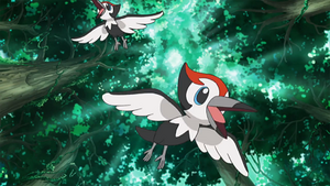 SL039 - Picassaut.png