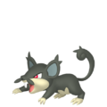 Rattata d'Alola