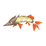 Barraskewda
