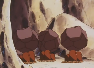 Triopikeur de Pietra.png