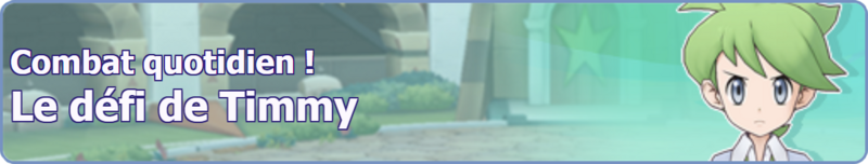Fichier:Bannière Le défi de Timmy PM.png