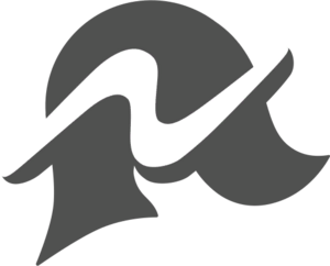 Logo Néo Team Flare LPZA.png