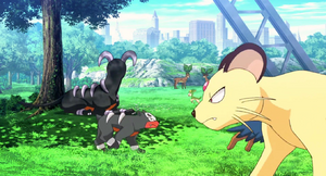 Malosse et Persian sauvages - Film 16.png