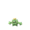 Cacnea