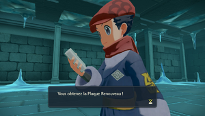 Temple de Frimapic Plaque Renouveau LPA.png